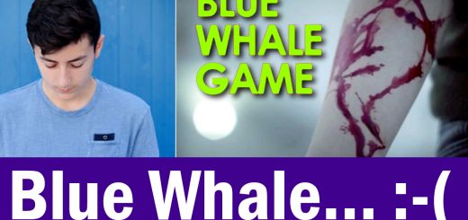 Blue Whale Myths Busted!
